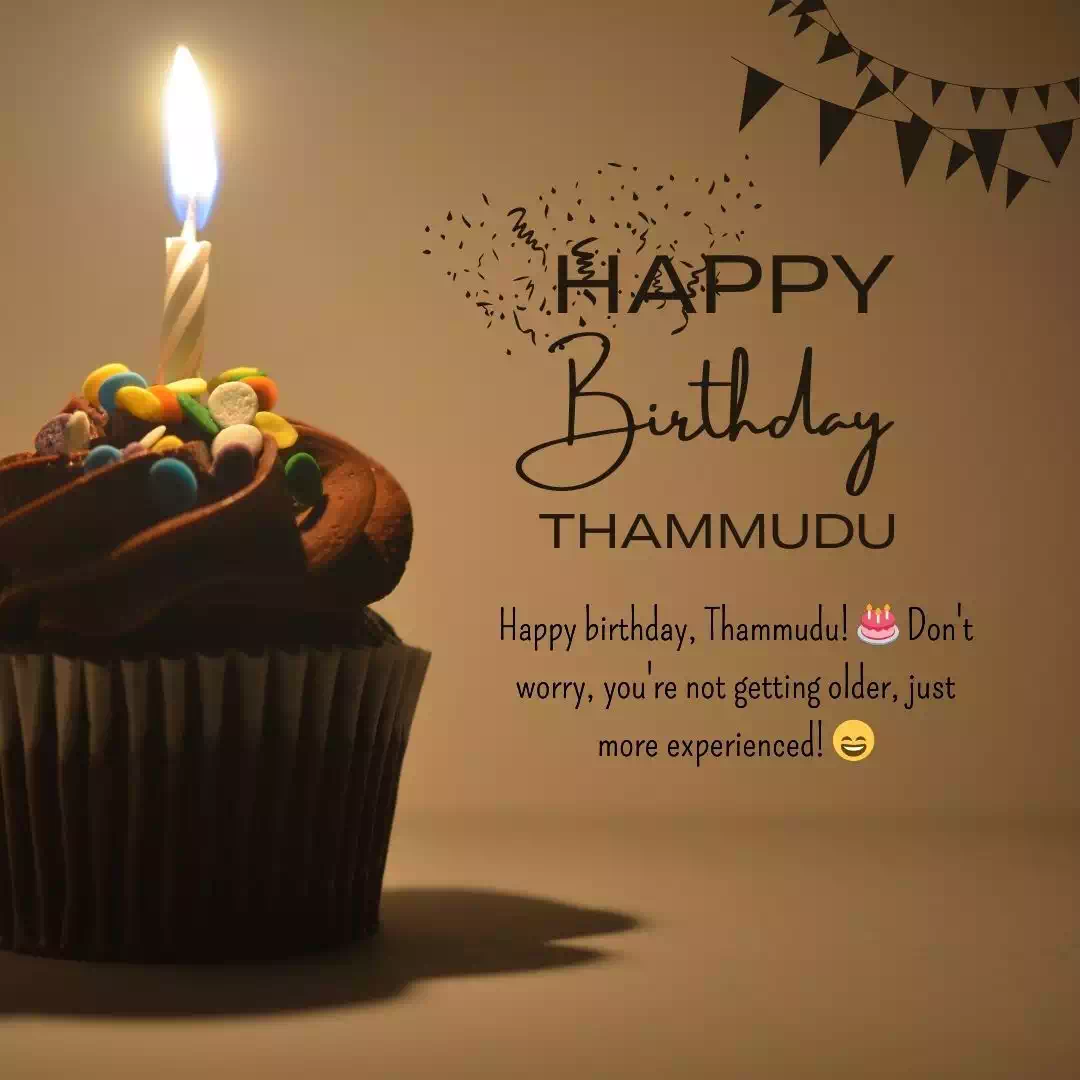 Birthday wishes for Thammudu 11